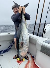 Bluefin tuna 