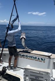 Great day in Stuart, FL