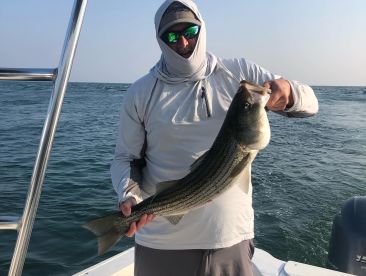 Fantastic Experience!