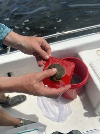 Amazing scalloping trip! 