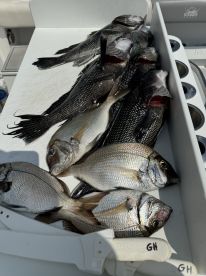 Best fishing charter