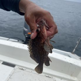 Better than we expected. Half day