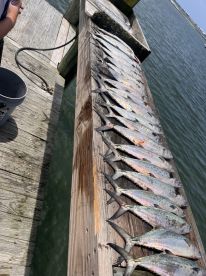 Family friendly 🤗