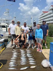 Davis crew catches 38 bonitos!!