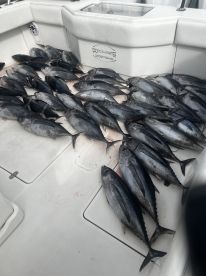 Great Captain with a really nice boat and gear.  