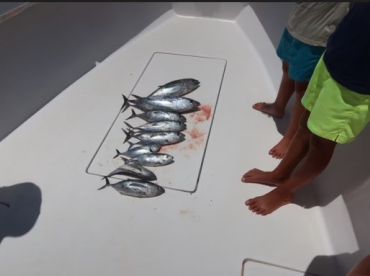 Great Day on the Water