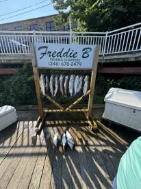 Day of Catching, Not fishing.