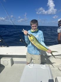 Mahi Mahi