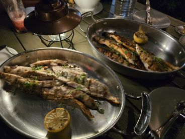 Great crew and nice boat.