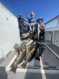 The Mardiosa  Never disappoints