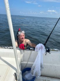 Scallop season after hurricane Debby