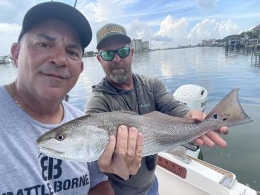 Just What The Doctor Ordered