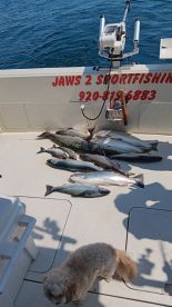 The Salmon’s caught salmon