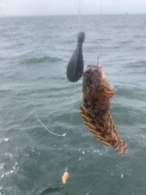 Fishing trip
