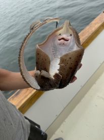 Awesome Half Day Charter