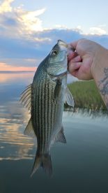 2 hour am trip was all we needed!