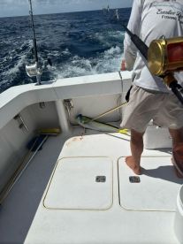 mahi mahi for dinner