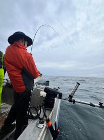 Experience pays dividends