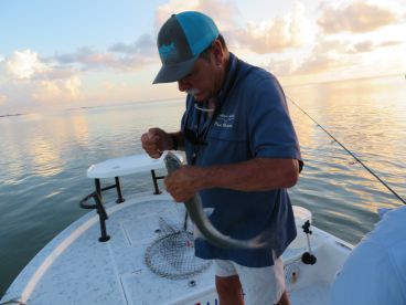 Caught our limit on Trout