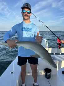 Fantastic experience!