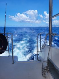 Excellent Tour just missed luck