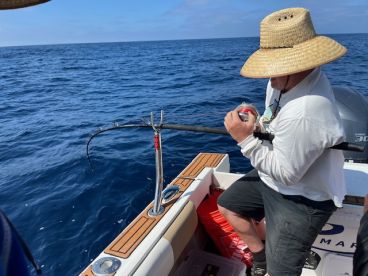 WHAT AN AMAZING TRIP