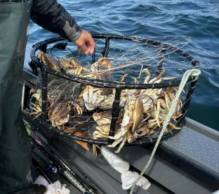 Exceeded expectations 