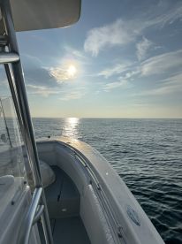 Tuna & Bass-Awesome Experience & Perfect Day on the Water