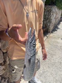 Not a great day but it\u2019s fishing not catching 