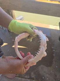 Great family run fishing charter