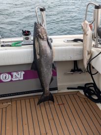 Great time on the Redemption!