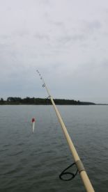 Rockfish ahead of the weather