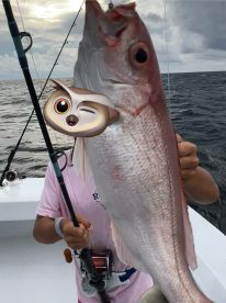 Dylan and Moose make a great team!