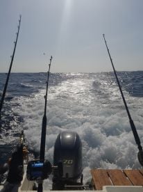 Memorable trip with a capable Captain 