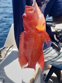 Memorable trip with a capable Captain 