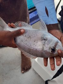 Memorable trip with a capable Captain 