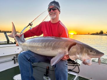 Absolutely Fantastic!