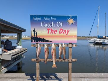 Great fishing charter!