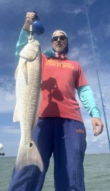 Best In The Business