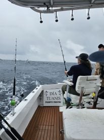 Perfect day fishing! 