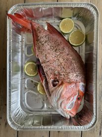 A perfect morning of sport fishing in the Seychelles