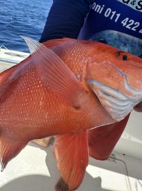 A perfect morning of sport fishing in the Seychelles