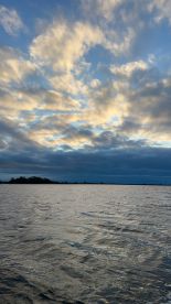 Highly Recommended Angler 