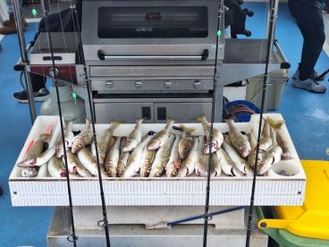 Fishing trip is okay but service is terrible 