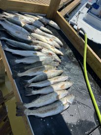 Bay trip with Captain Jason!