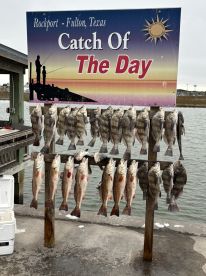 Great fishing experience!!!