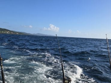 Fun day knowledgeable crew.