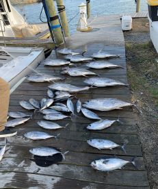 Great day on the water!