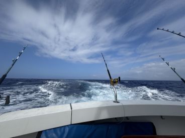 Offshore fishing in Honolulu