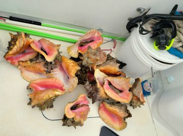 Small group...boat limit